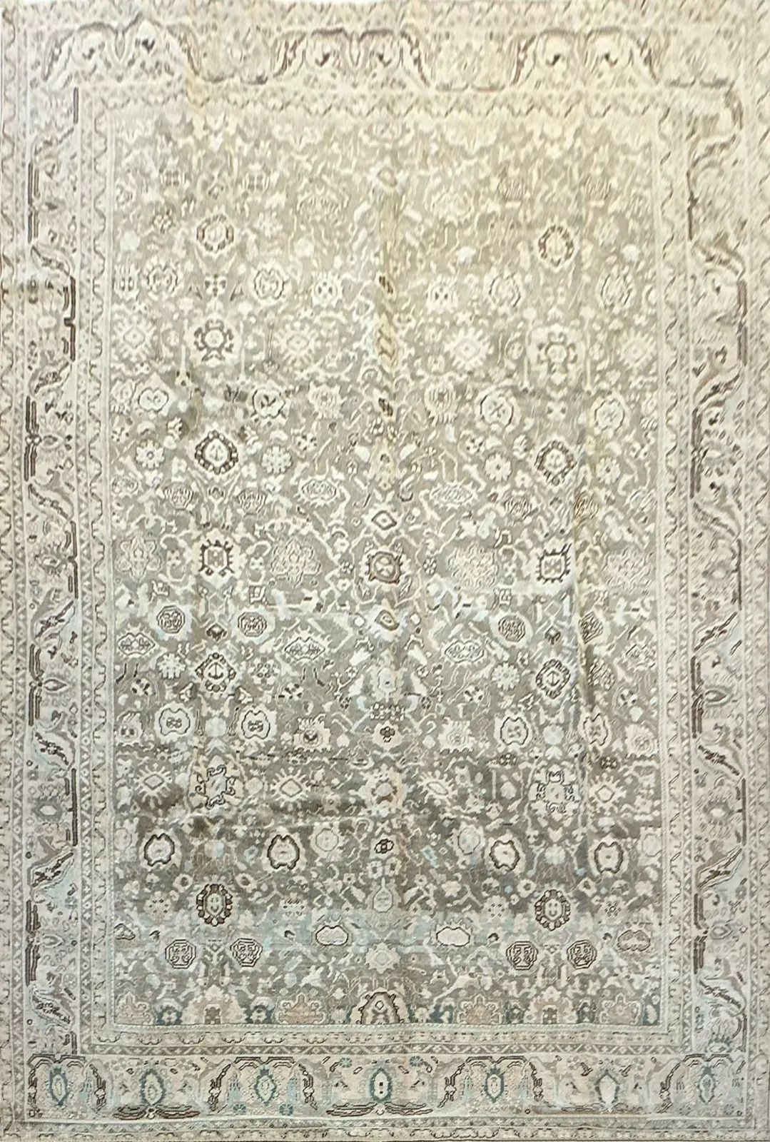 Main rug