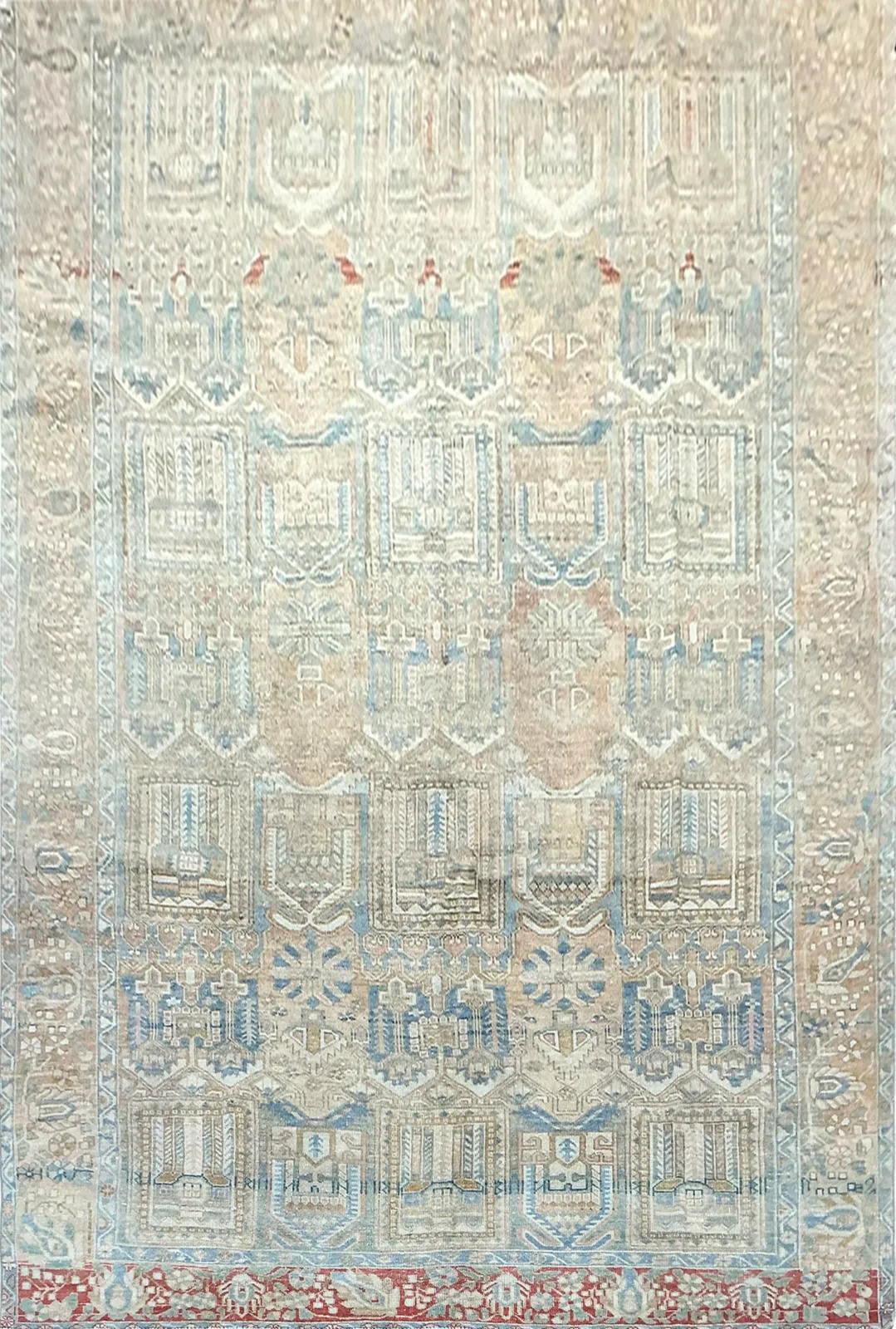 Main rug