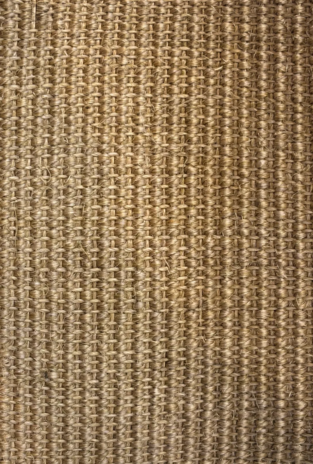 Main rug