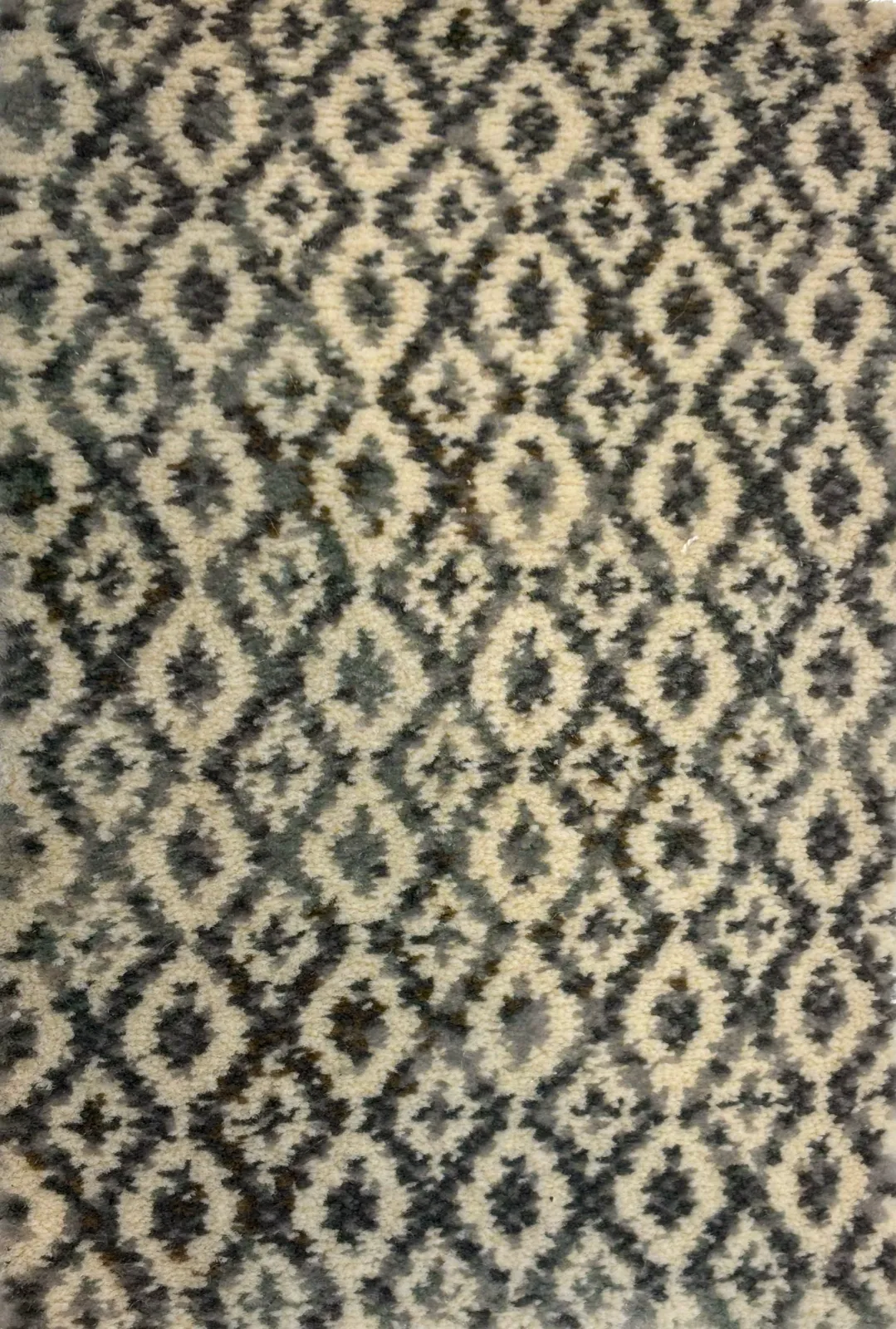 Main rug