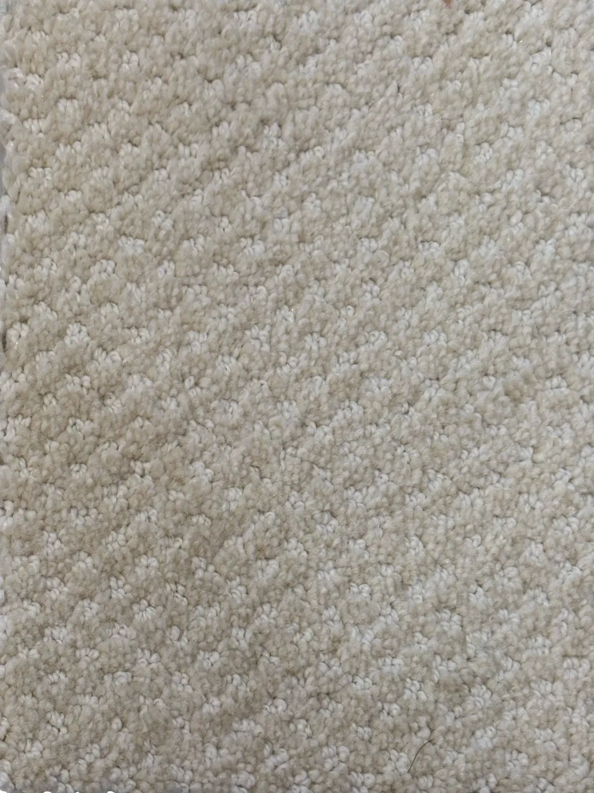 Main rug