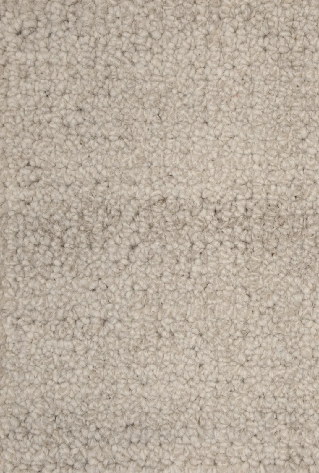 Main rug