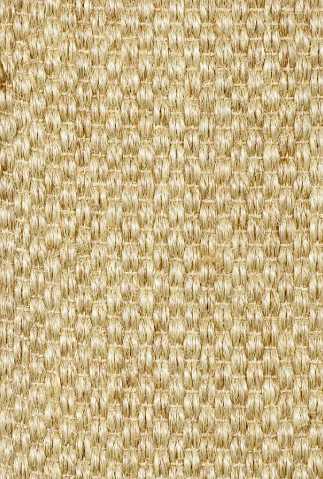 Main rug