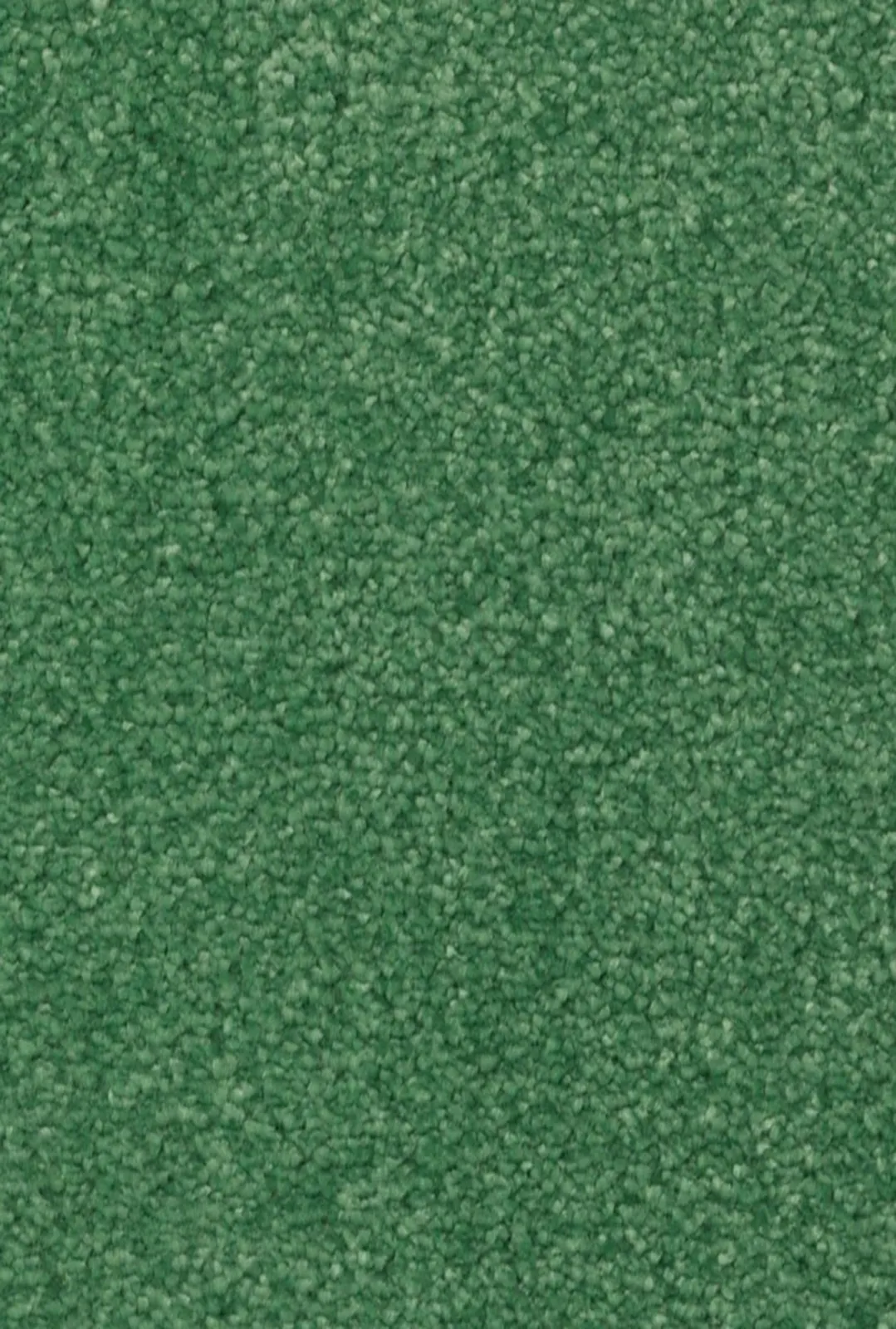 Main rug