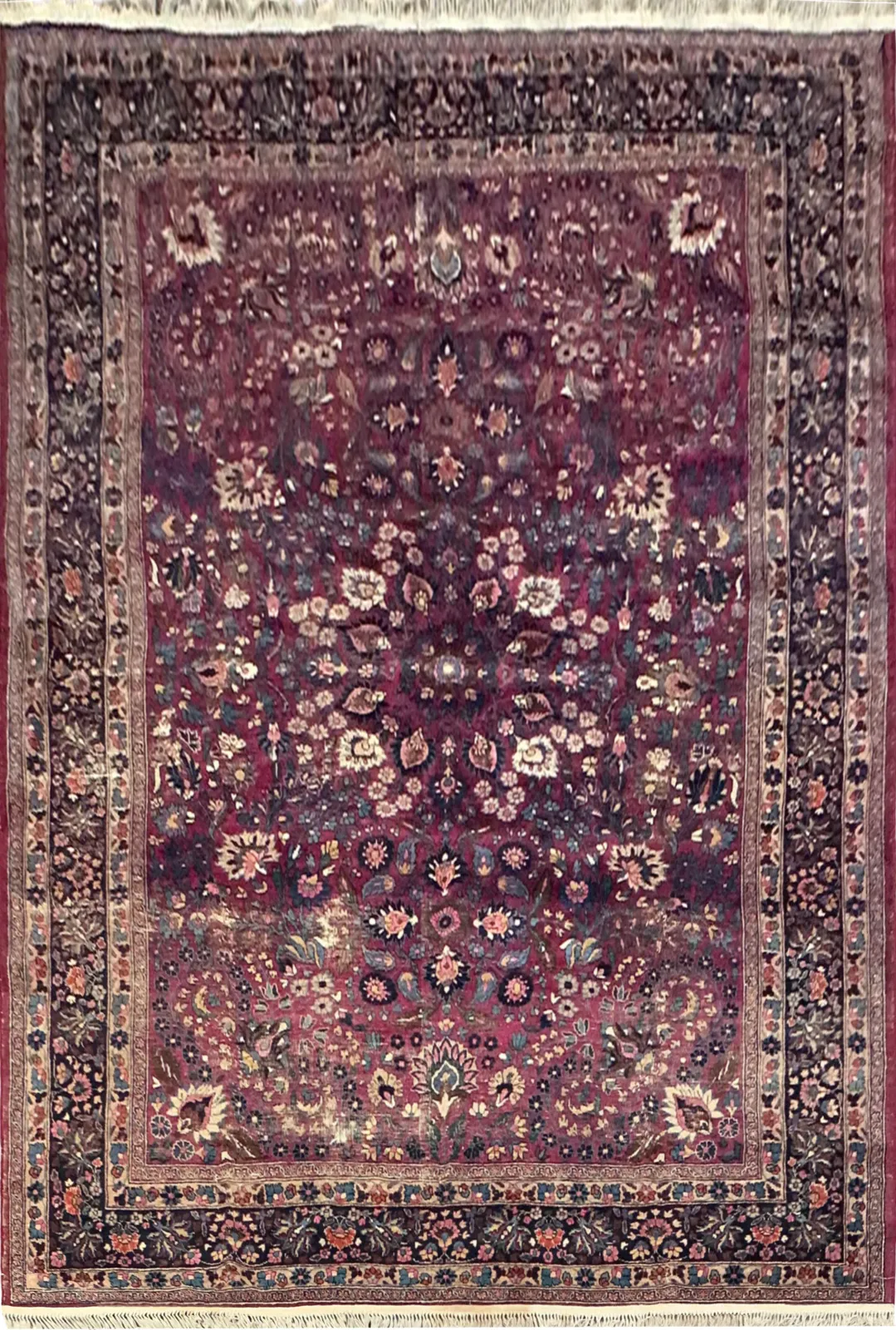 Main rug