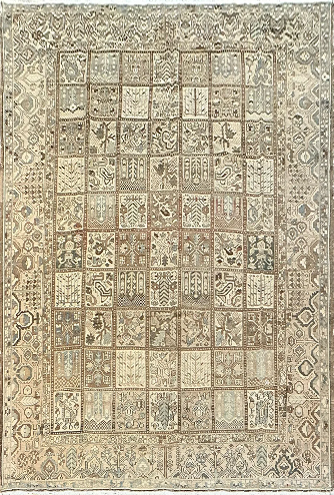 Main rug