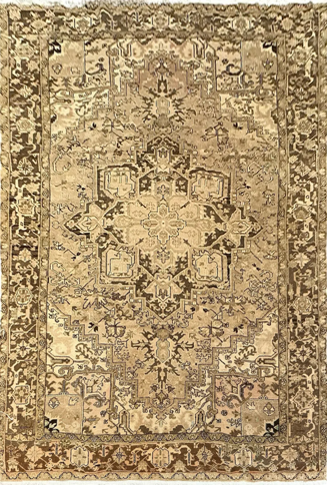 Main rug