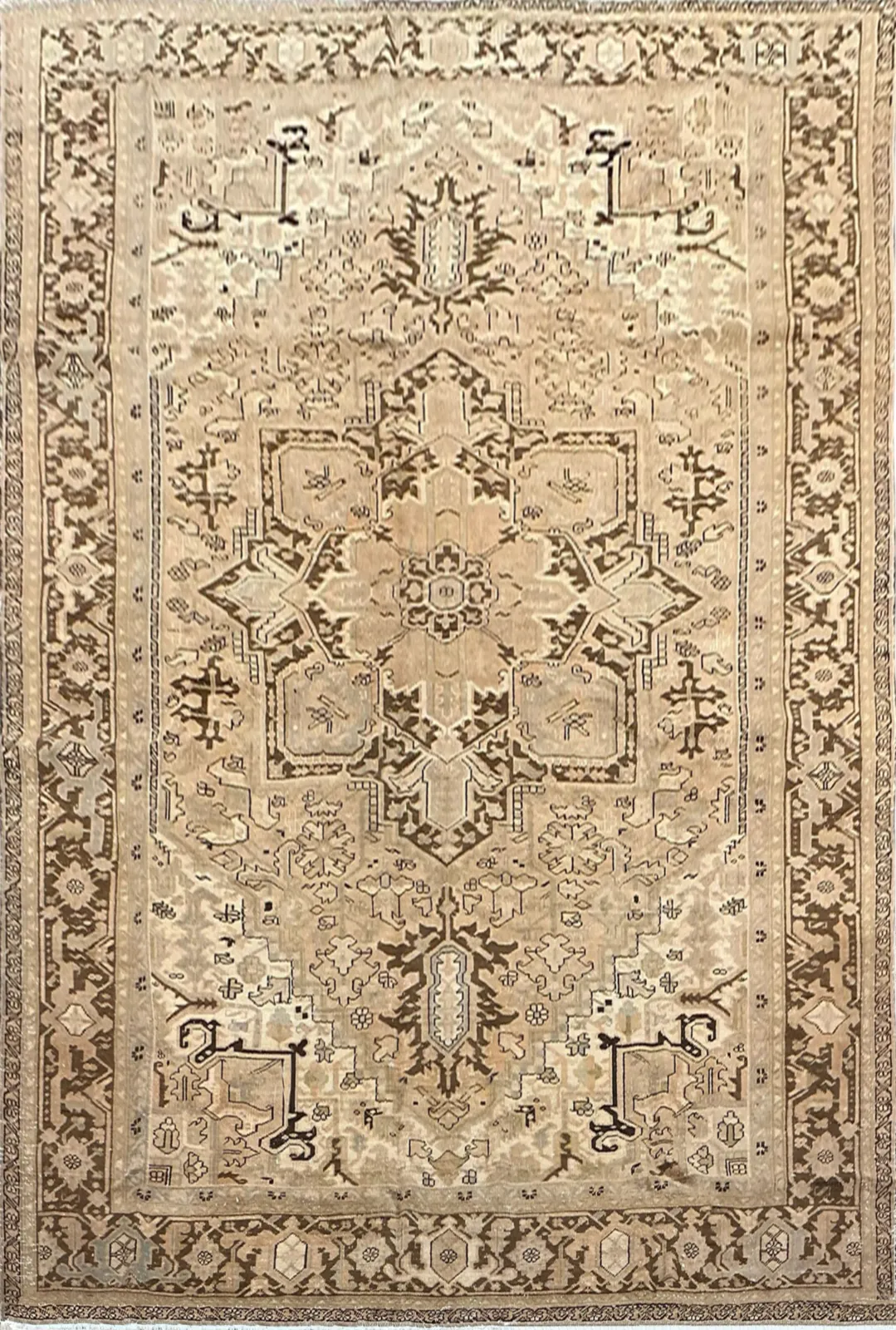Main rug