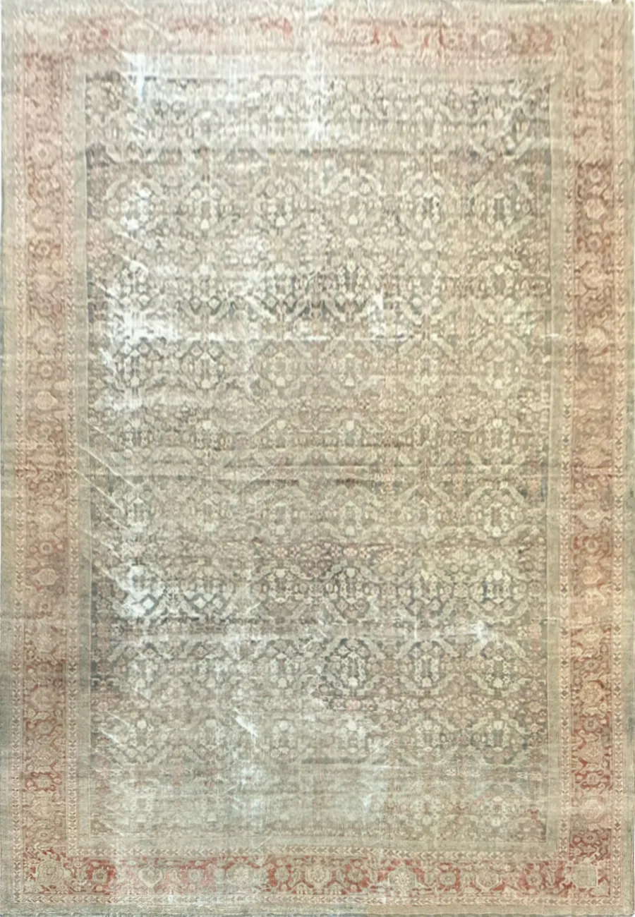 Main rug