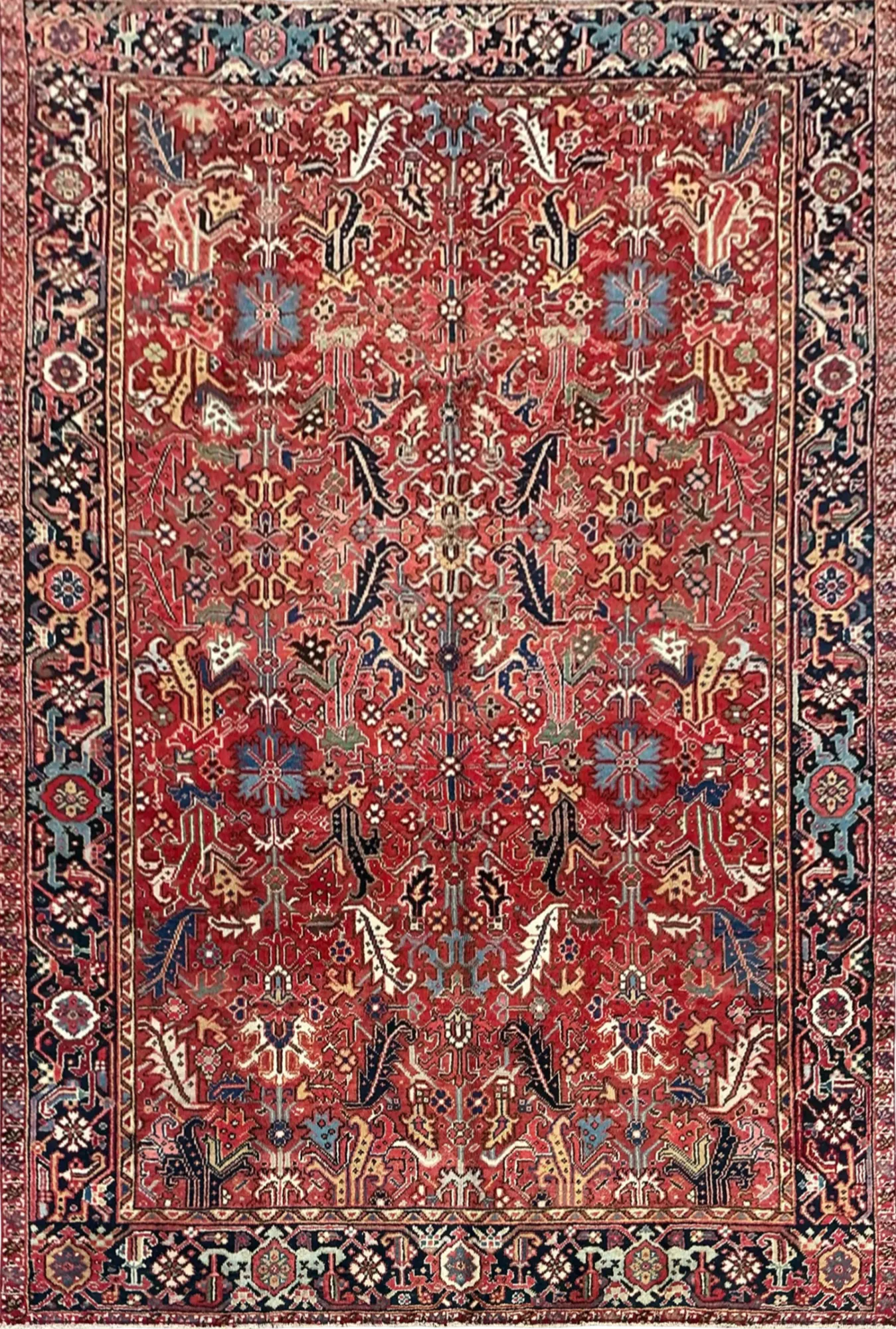 Main rug