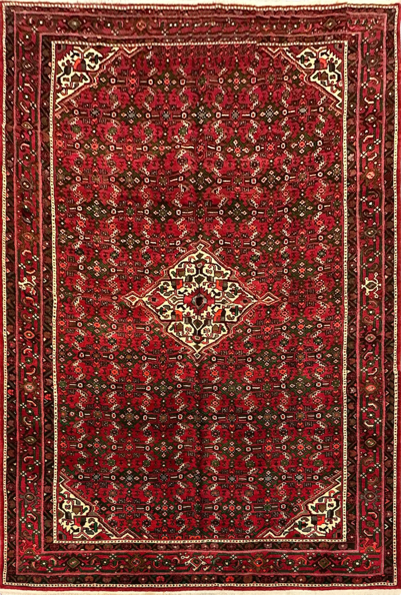 Main rug