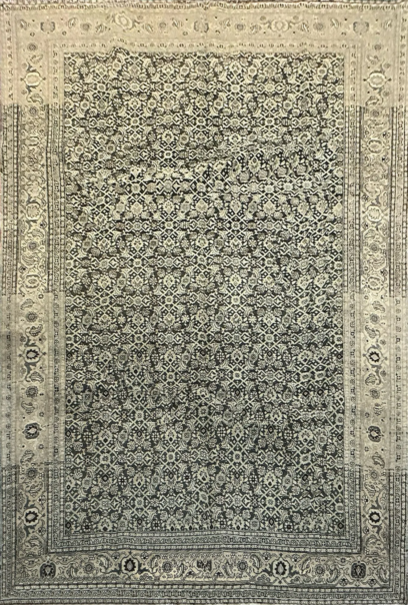 Main rug