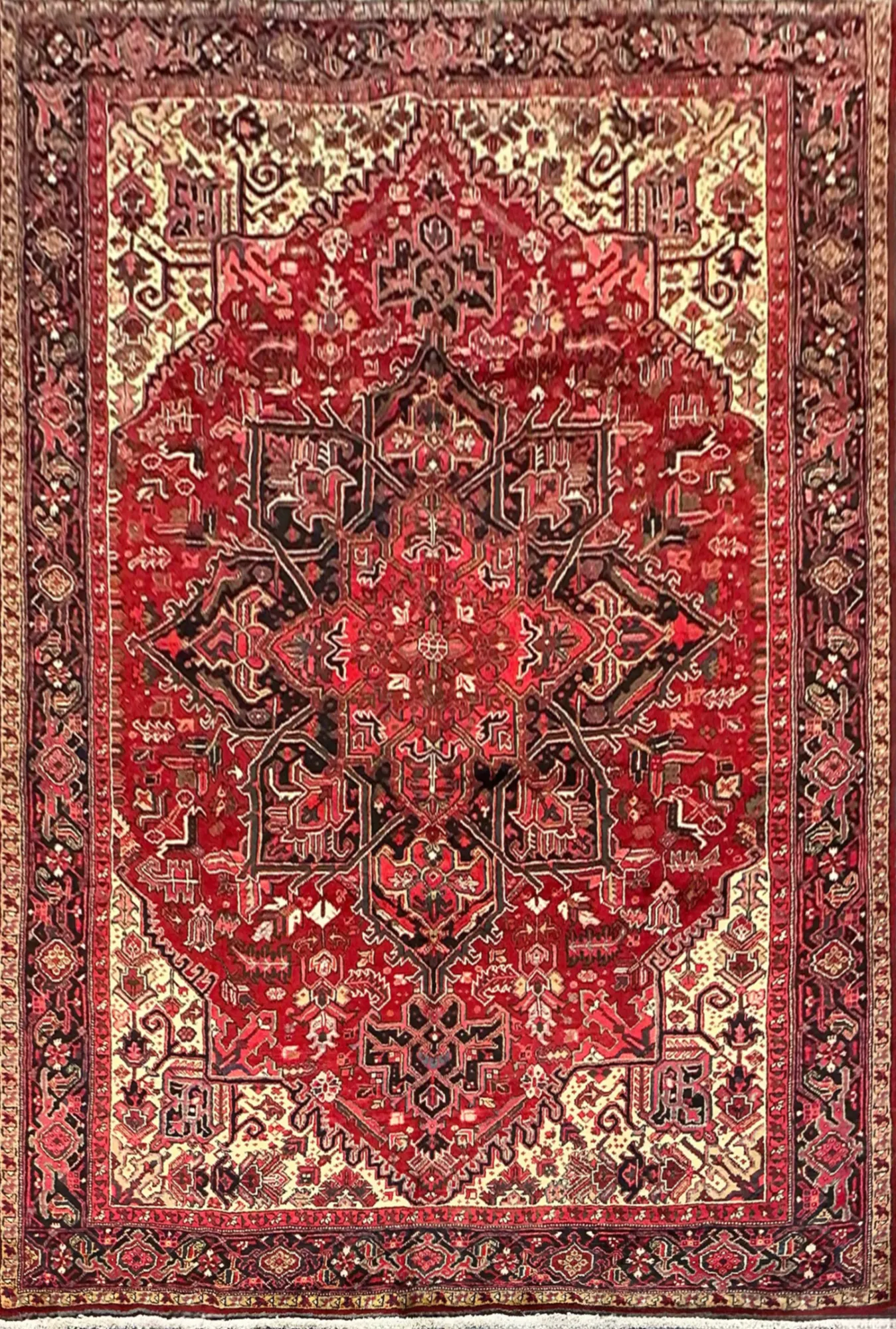 Main rug