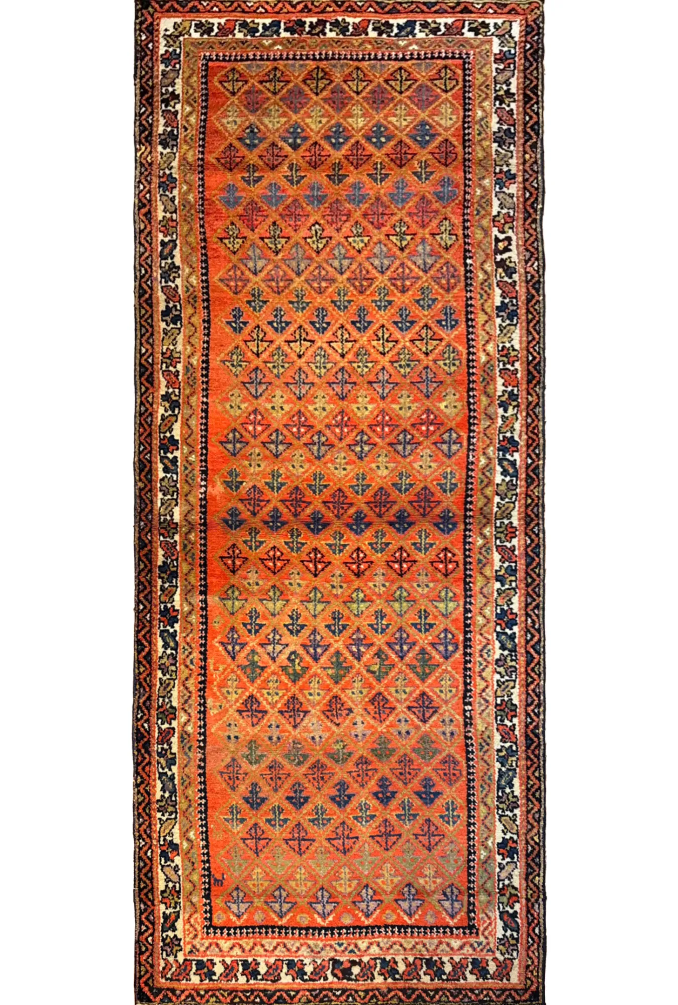 Main rug