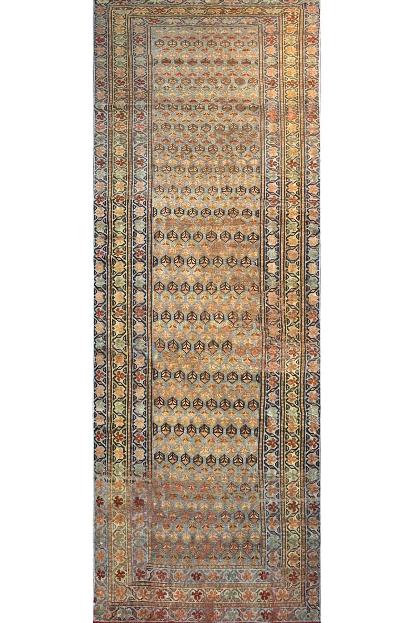 Main rug