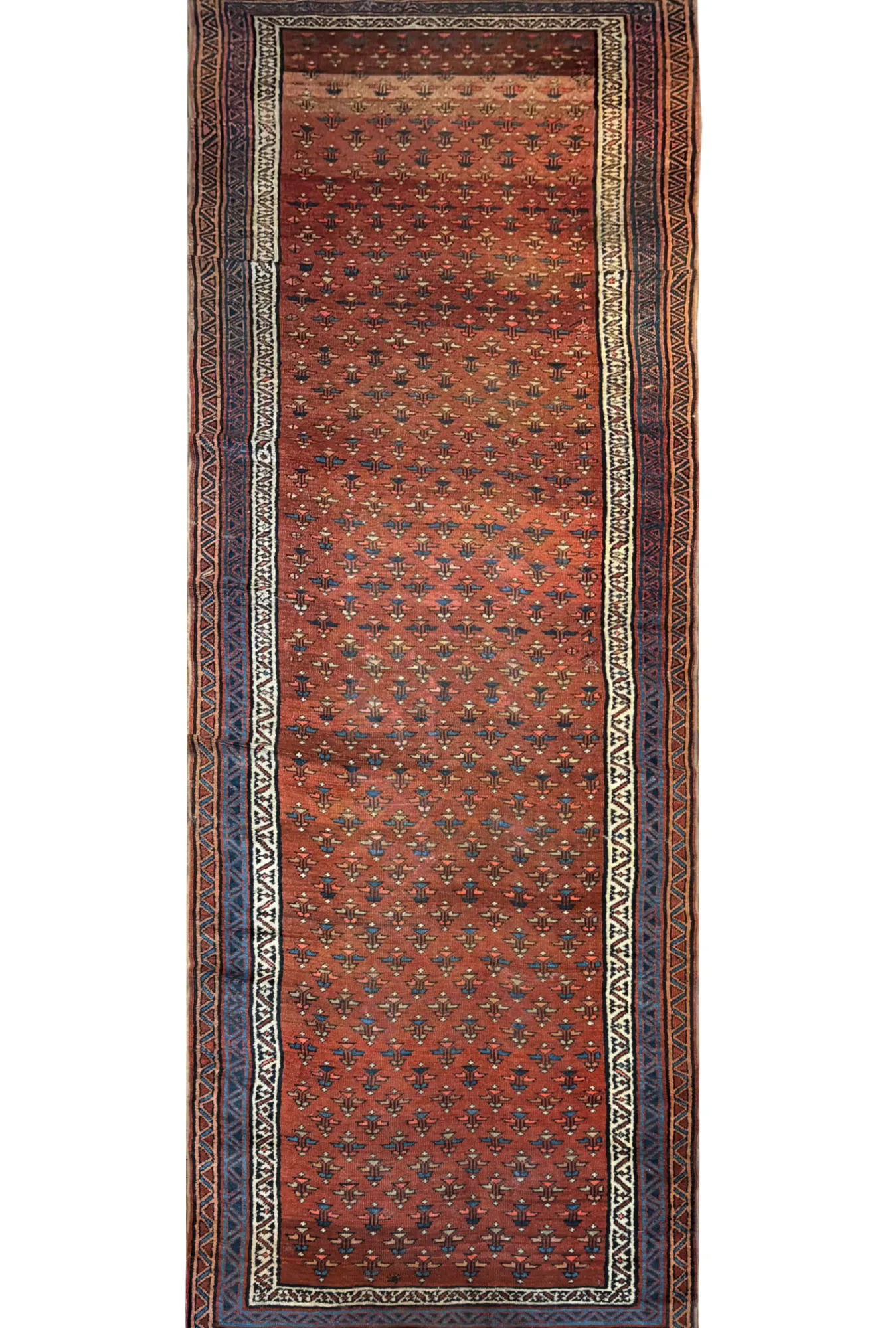 Main rug