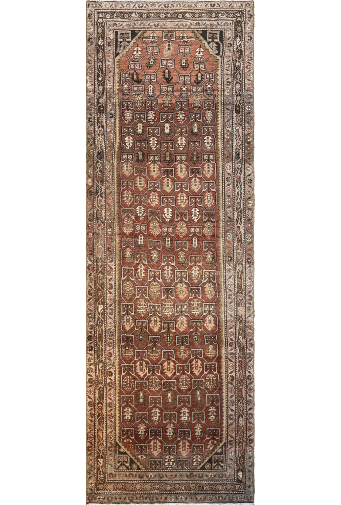 Main rug