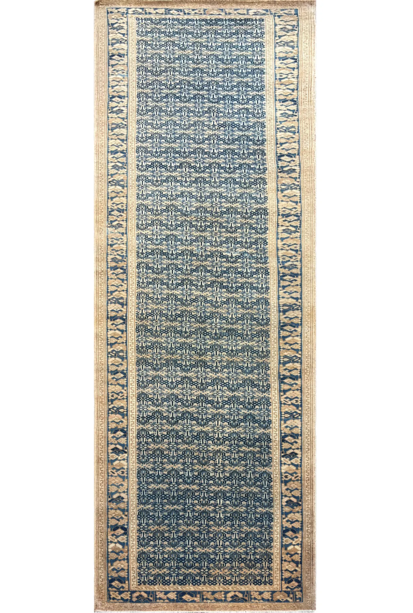Main rug