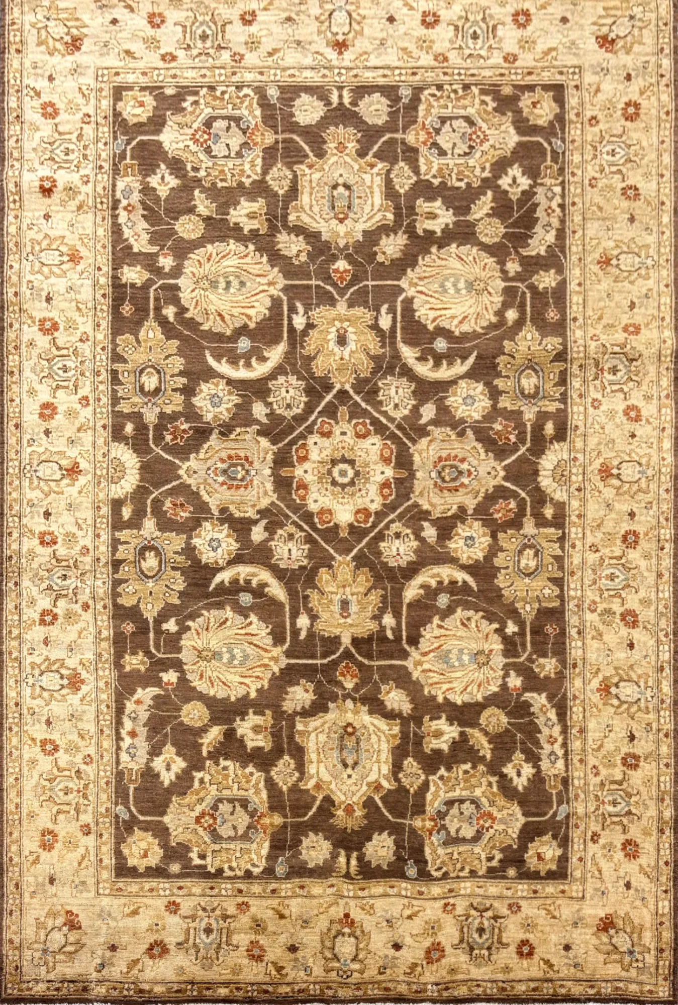 6 x 9 Traditional Hand-Knotted Oriental Rug #TR407 - Palace Oriental Rugs