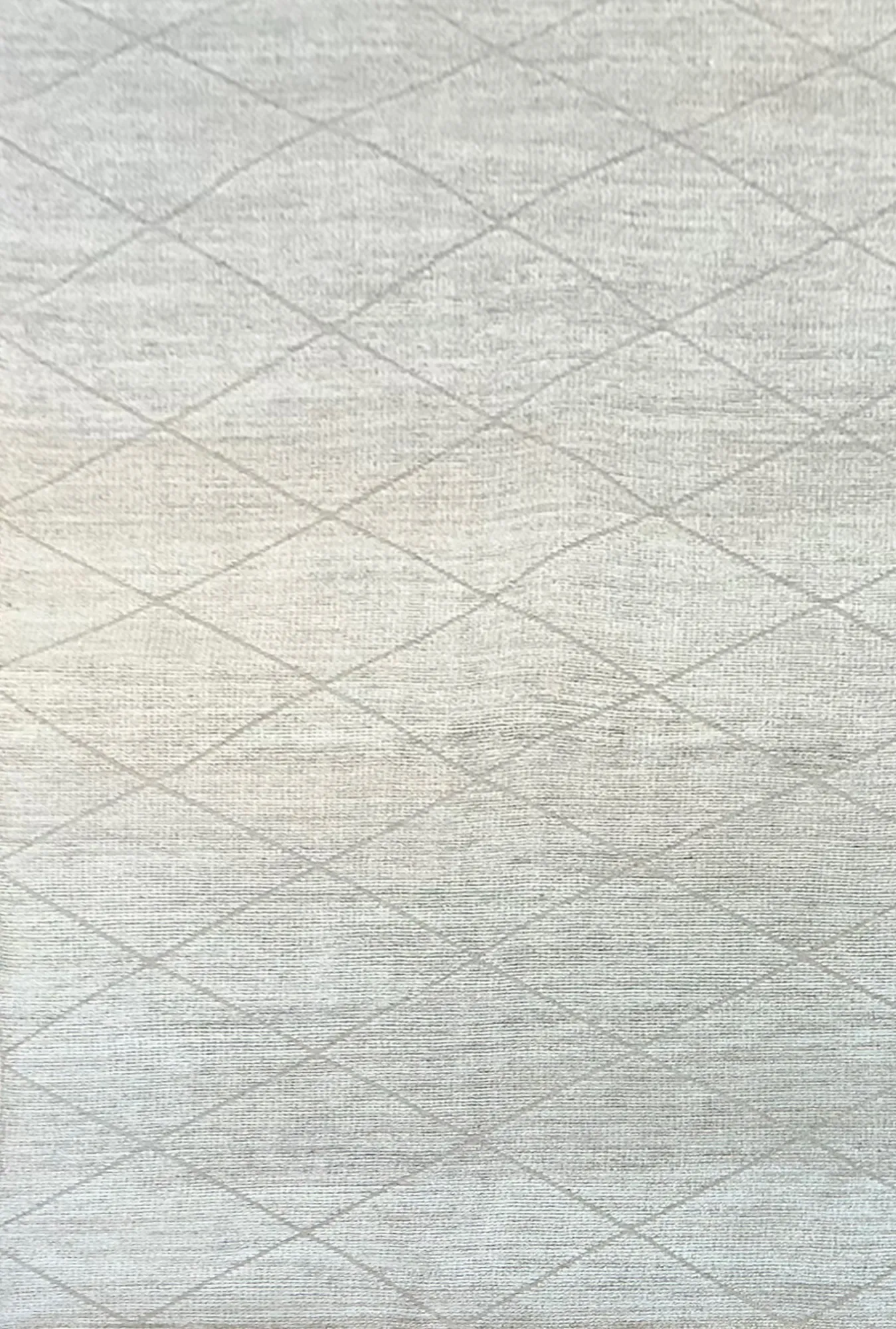 9 X 12 Contemporary Hand-Knotted Oriental Rug #CO245 - Palace Oriental Rugs